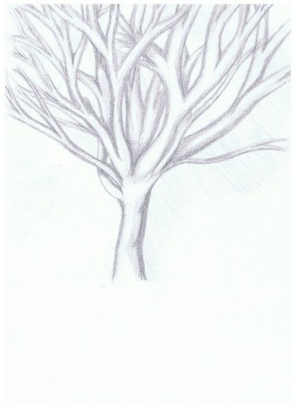 arbre fait en permanence