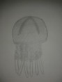 /album/dessins-n%c2%b02/a20130823-225509-jpg/