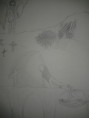 /album/dessins-n%c2%b02/a20130823-225543-jpg/