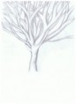 /album/dessins-2014/arbre-jpeg/